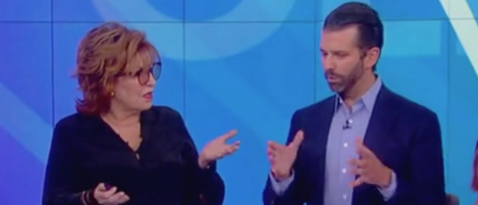 Donald Trump Jr. appears on "The View." Screen Shot/ABC
