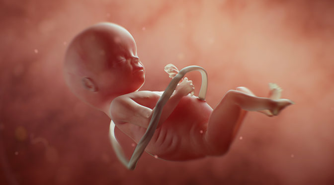 Investigation finds evidence that Planned Parenthood is selling body parts of aborted babies – NaturalNews.com