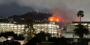 LA Prioritizes Gender Identity and Pronoun Training for City Employees After Catastrophic Wildfires.