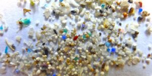 Microplastics Linked to Higher Preterm Birth Risk, Scientists Warn.