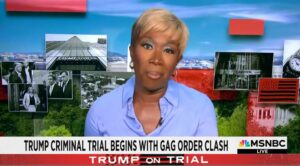 Joy Reid’s MSNBC Show CANCELLED.