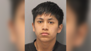 Illegal Immigrant Accused of Fatally Beating Infant.