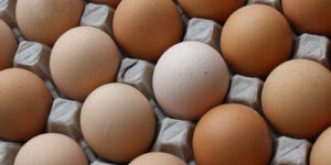 Egg Prices Are Down Nearly $2.00 in Just 13 Days Following Trump Plan to Lower Cost.